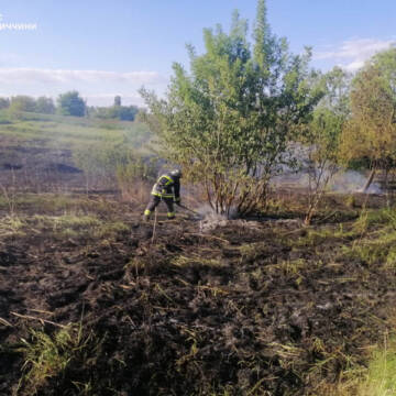 Сім екосистемних пожеж зафіксовано за добу на Вінниччині