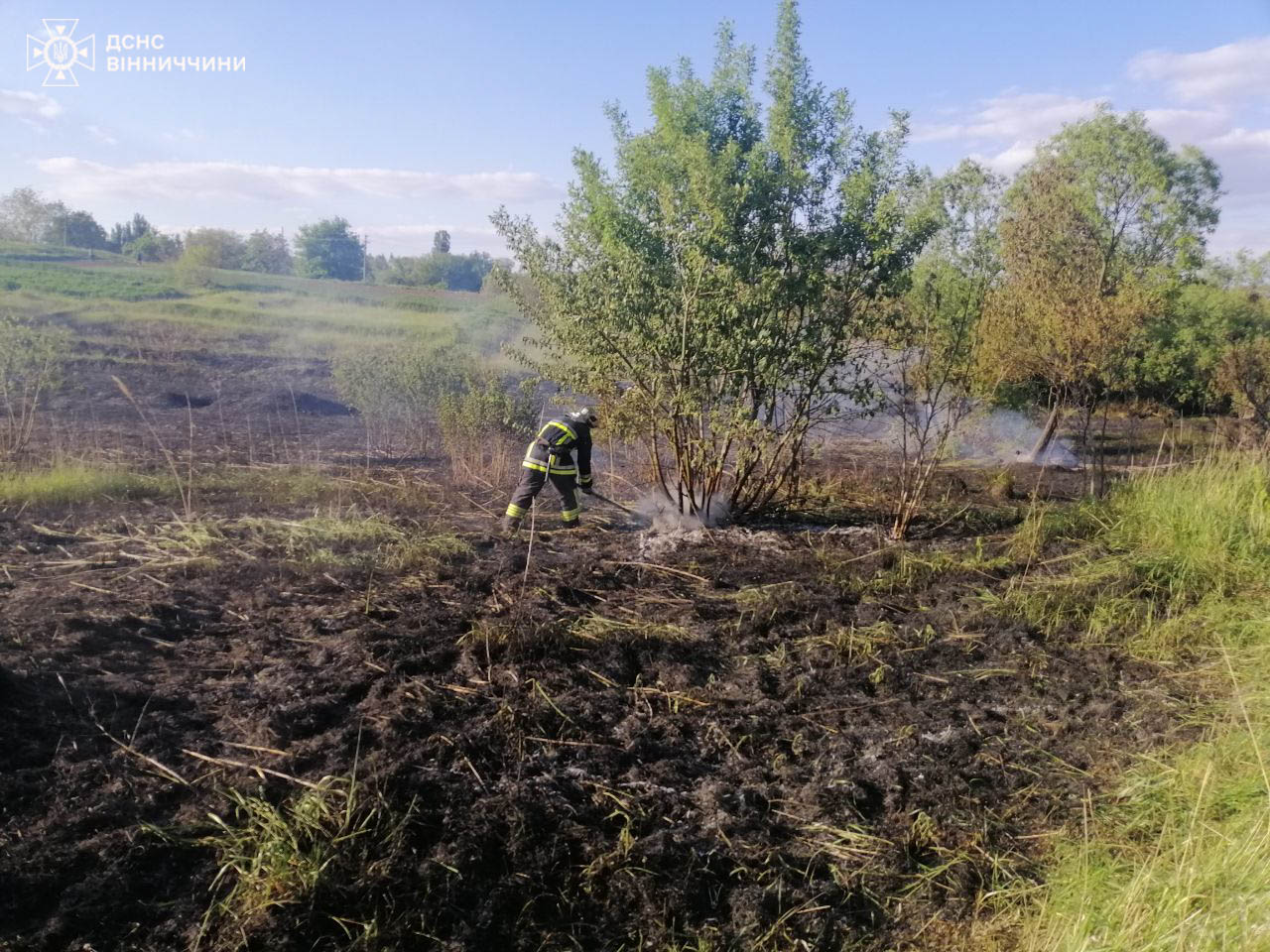 Сім екосистемних пожеж зафіксовано за добу на Вінниччині