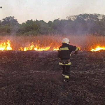 Вчора рятувальники Вінниччини ліквідували 14 пожеж