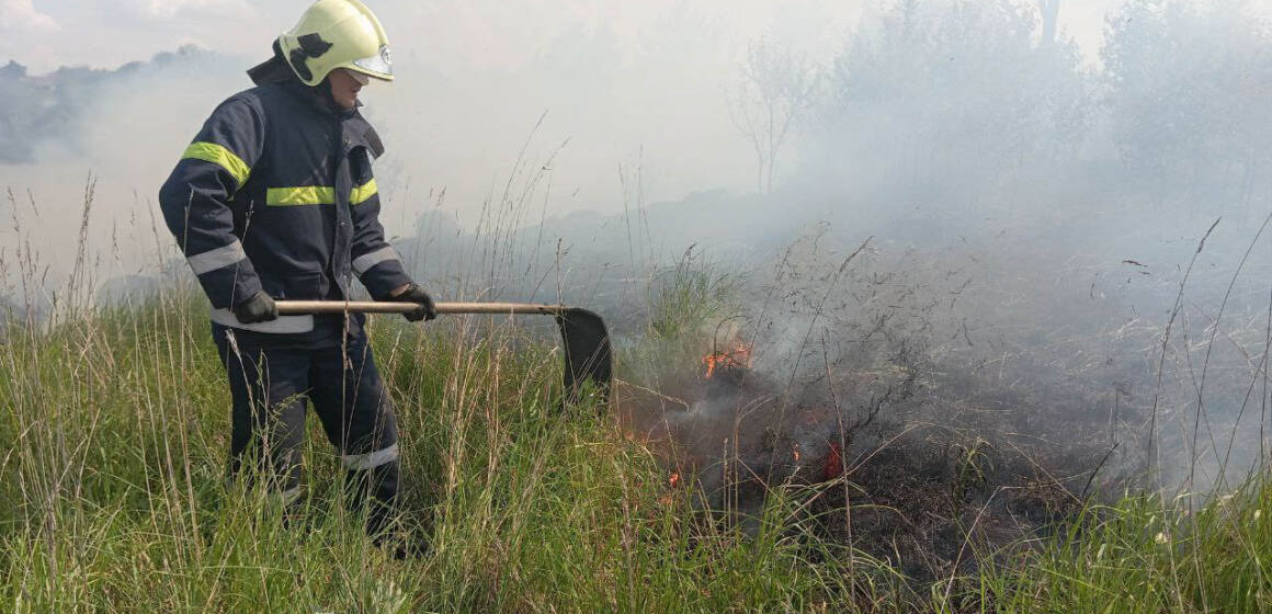 На Вінниччині рятувальники ліквідували 12 пожеж у природних екосистемах