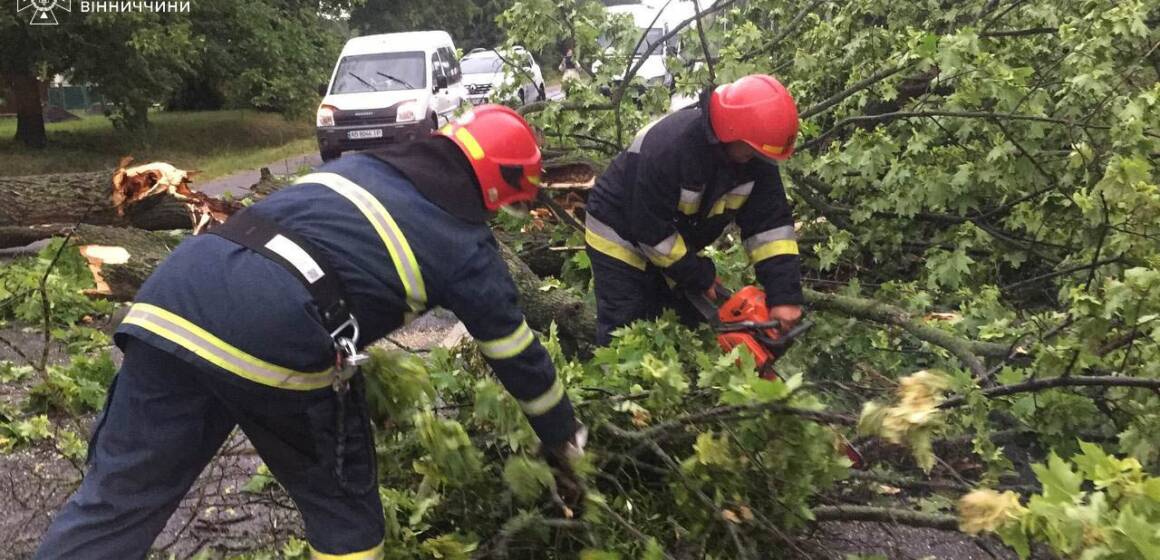 Вітер наламав дерев на Вінниччині. Повалені дерева перекрили дороги