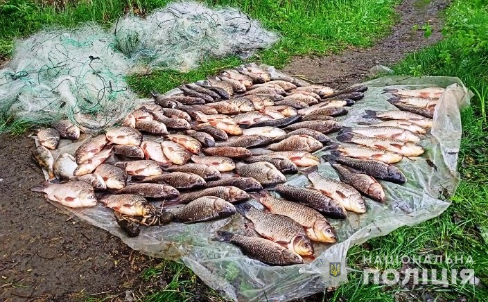 Незаконний вилов риби на Вінниччині: розслідується 10 кримінальних проваджень