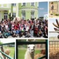 Турбота про наймолодших: Вінницький Гумштаб організував для дітей похід до зоопарку