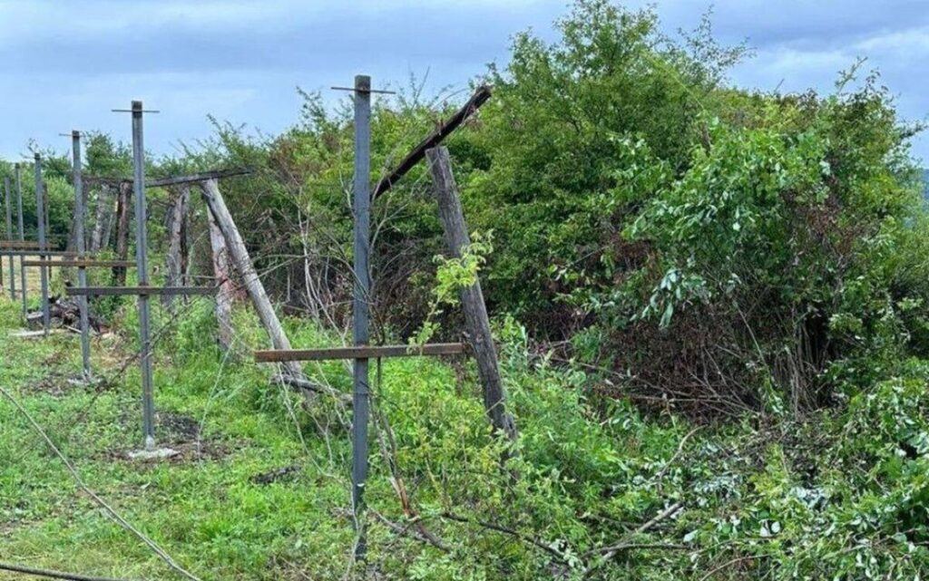 На Закарпатті вантажівка прорвала державний кордон: в Угорщині затримали 32 українців (фото)