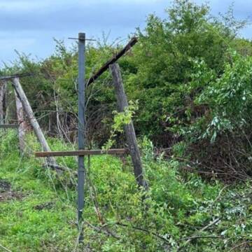 На Закарпатті вантажівка прорвала державний кордон: в Угорщині затримали 32 українців (фото)