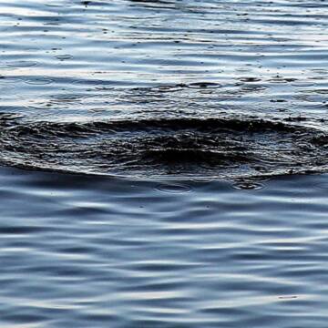 Тіло 36-річної жінки виявили у водоймі на Вінниччині