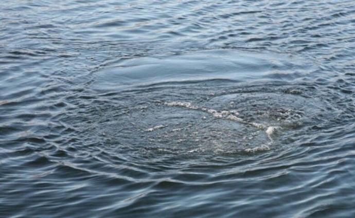 Намагався переплисти ставок: у Гайсинському районі втопився чоловік