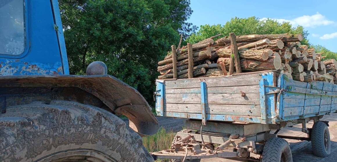 Незаконна вирубка на Вінниччині: лісник спійманий на спробі вивезення деревини