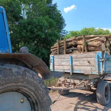 Незаконна вирубка на Вінниччині: лісник спійманий на спробі вивезення деревини