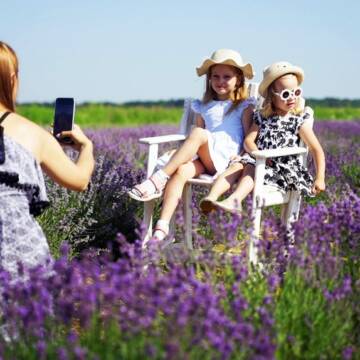 Лавандові поля на Вінниччині: перелік локацій та скільки коштує вхід