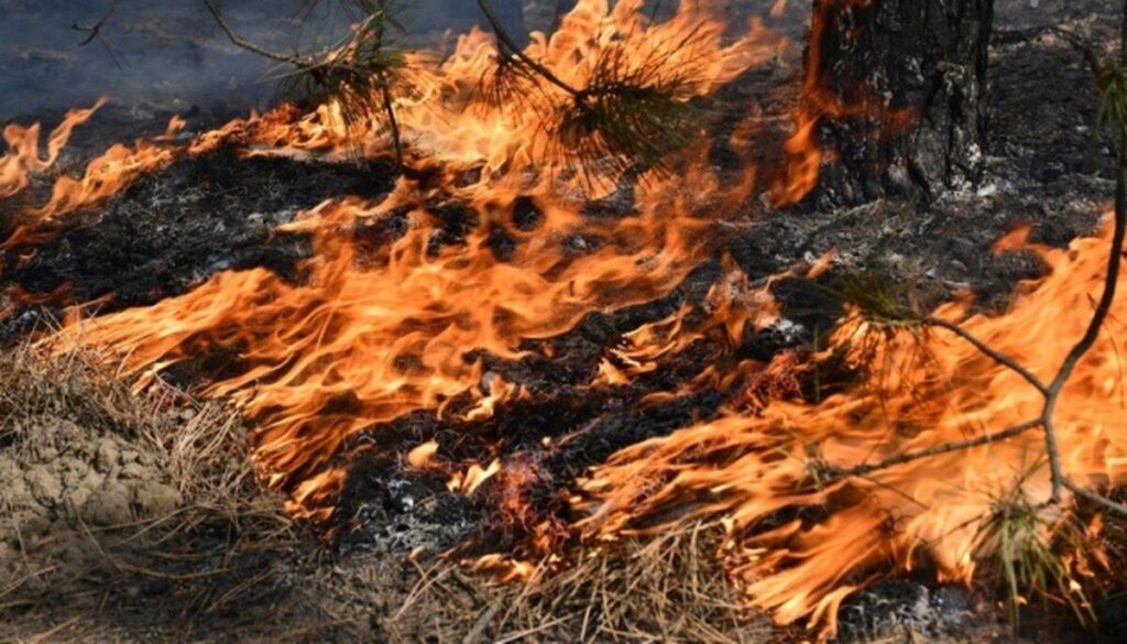 У Вінницькій області очікується надзвичайна пожежна небезпека
