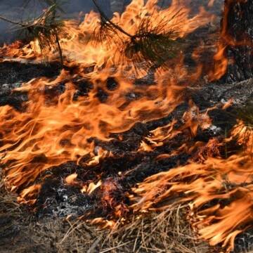 У Вінницькій області очікується надзвичайна пожежна небезпека