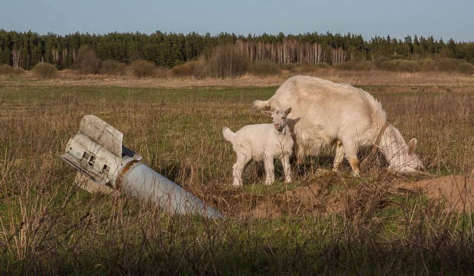 В Україні створять реєстр земель, що потенційно забруднені вибухівкою