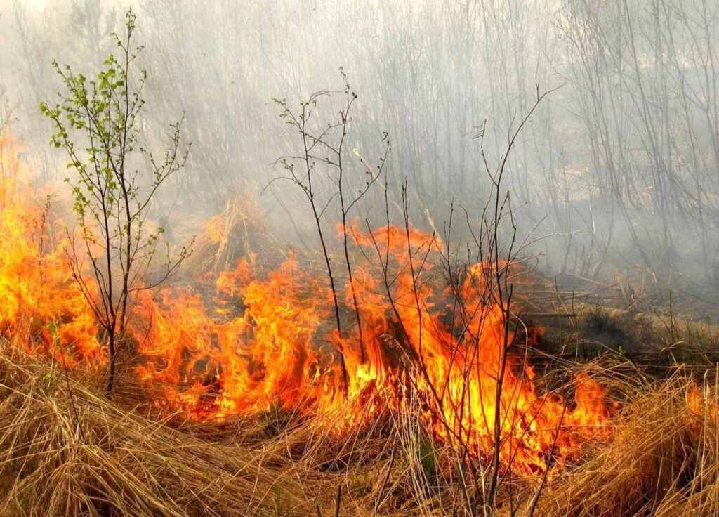 Жителів Вінницької області попереджають про надзвичайну пожежну небезпеку