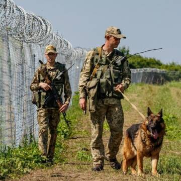 Скільки наразі викрито злочинних груп, які допомагають українцям незаконно перетинати кордон?