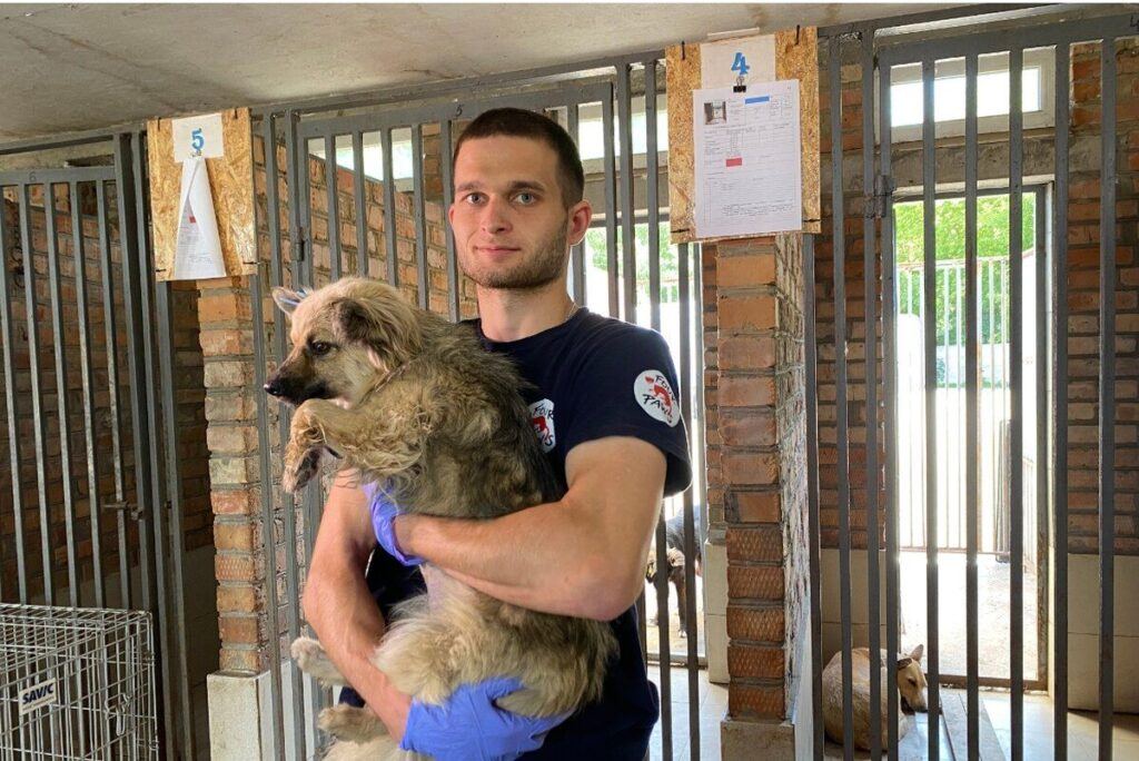 Безкоштовна стерилізація: як допомагають безпритульним тваринам у вінницькому притулку