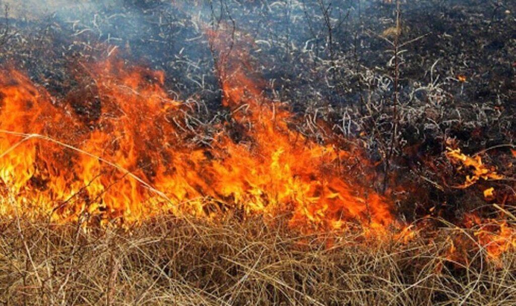 Минулої доби рятувальники Вінниччини ліквідували 10 пожеж