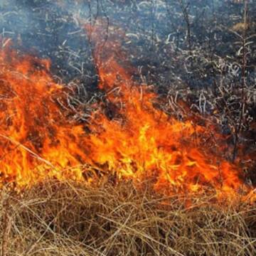 Минулої доби рятувальники Вінниччини ліквідували 10 пожеж