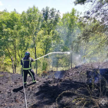 На Вінниччині за добу ліквідували 10 пожеж