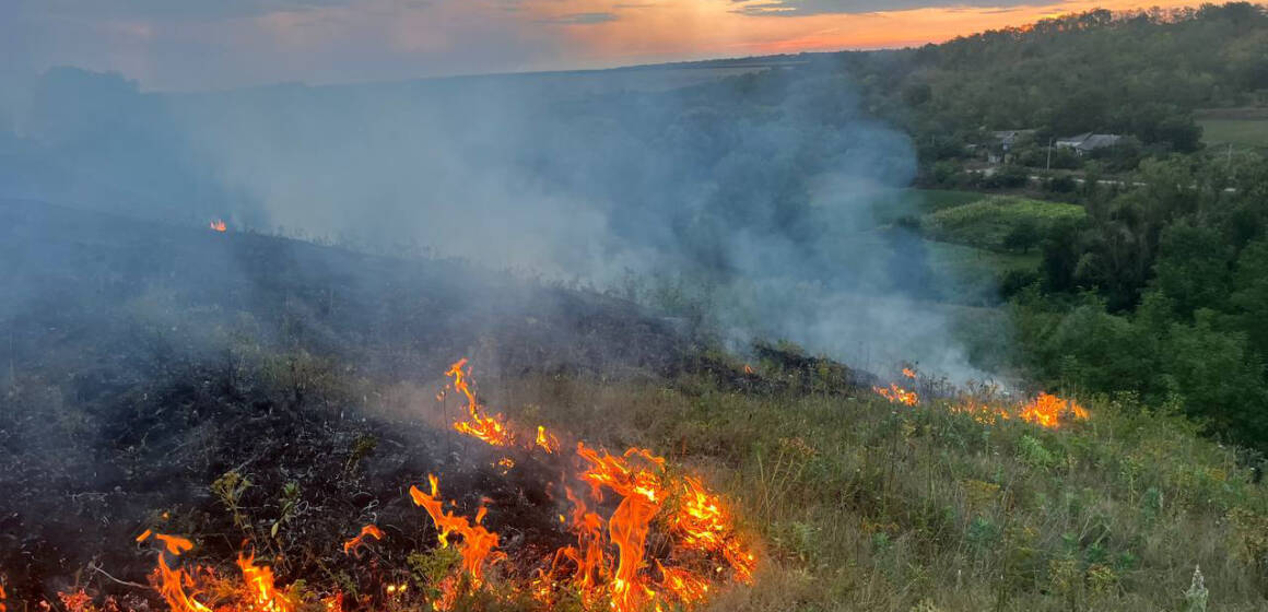 На Вінниччині за добу ліквідовано 24 пожежі