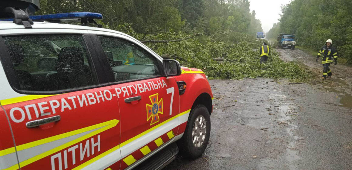 На дорогах Вінниччини за добу прибрали 8 дерев