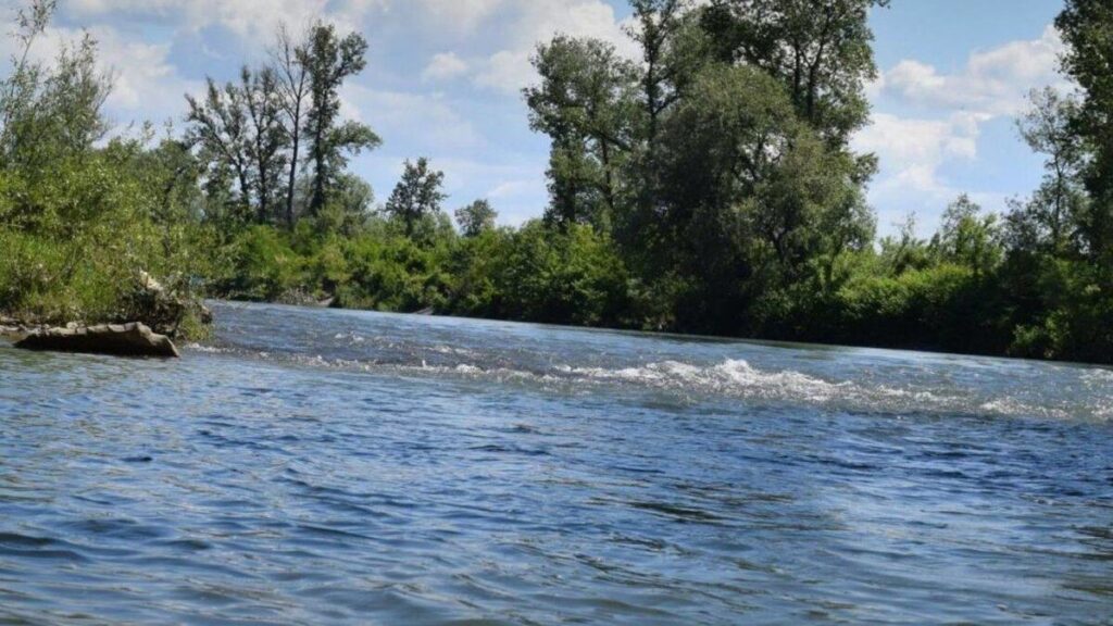 На кордоні з Румунією виявили 17-го з початку року потопельника