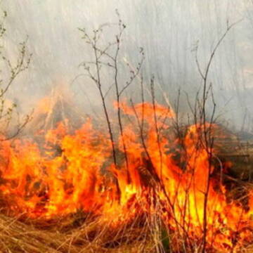 На Вінниччині кілька днів спостерігатиметься надзвичайний рівень пожежної небезпеки