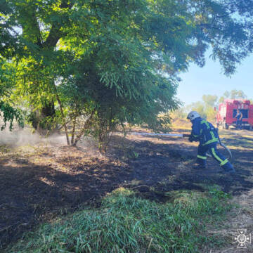 Рятувальники Вінниччини 16 разів за добу виїжджали на пожежі