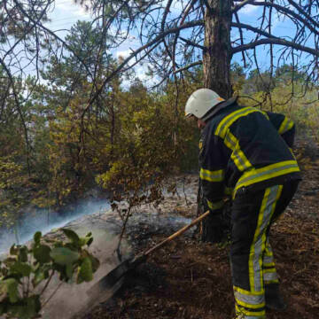 Сьогодні рятувальники ліквідували пожежу на площі понад  2,5 га