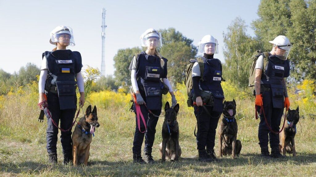 В Україні зявилася команда кінологинь, які готують собак для розмінування