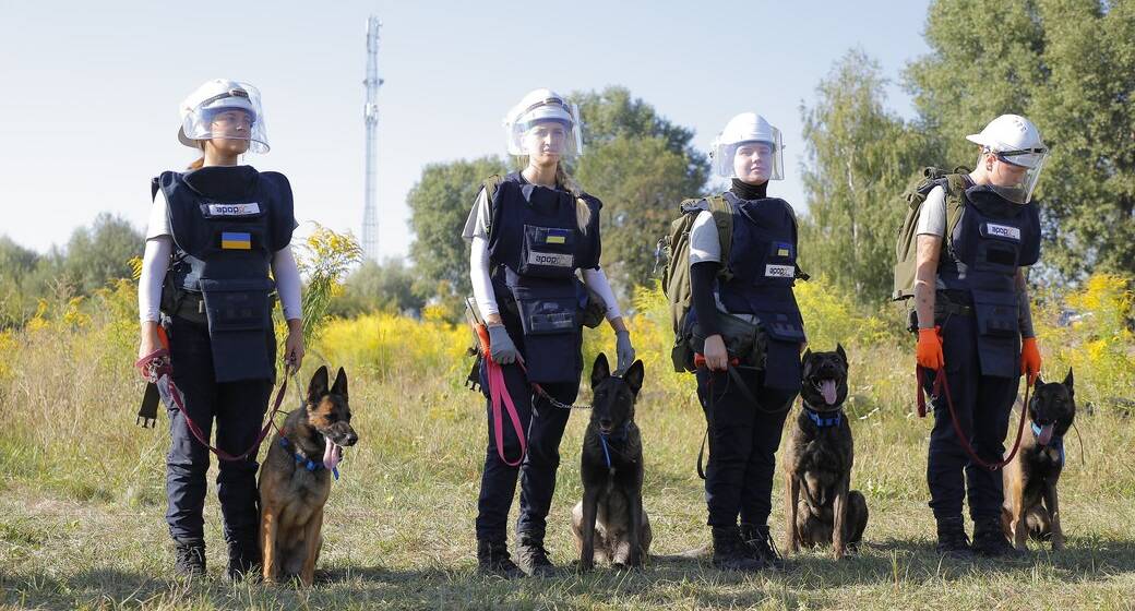 В Україні з’явилася команда кінологинь, які готують собак для розмінування