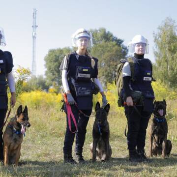 В Україні з’явилася команда кінологинь, які готують собак для розмінування