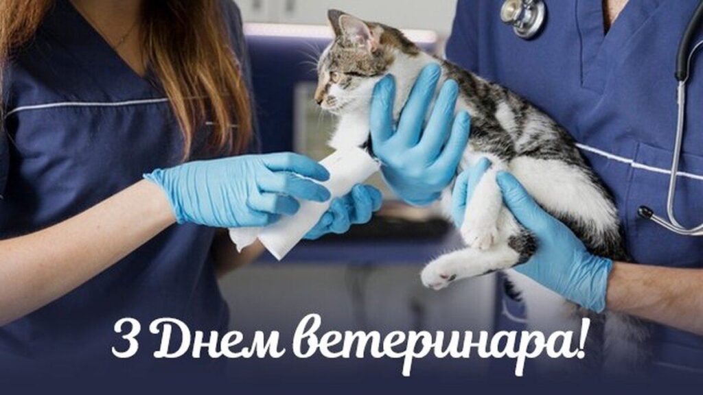 З Днем ветеринара: привітання у віршах, прозі, картинках