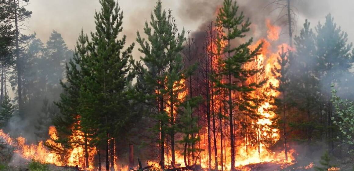 На Вінниччині оголошено надзвичайну пожежну небезпеку 5 класу