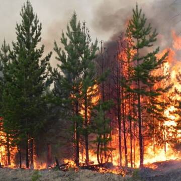 На Вінниччині оголошено надзвичайну пожежну небезпеку 5 класу