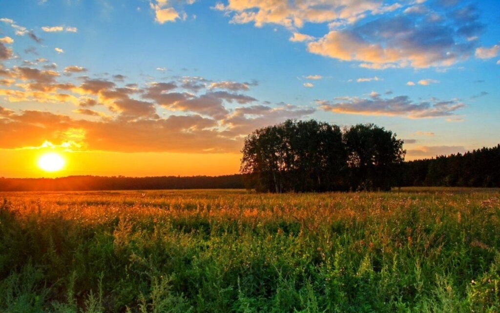 Непомітний прихід осені: яку погоду прогнозують синоптики 31 серпня 2 вересня
