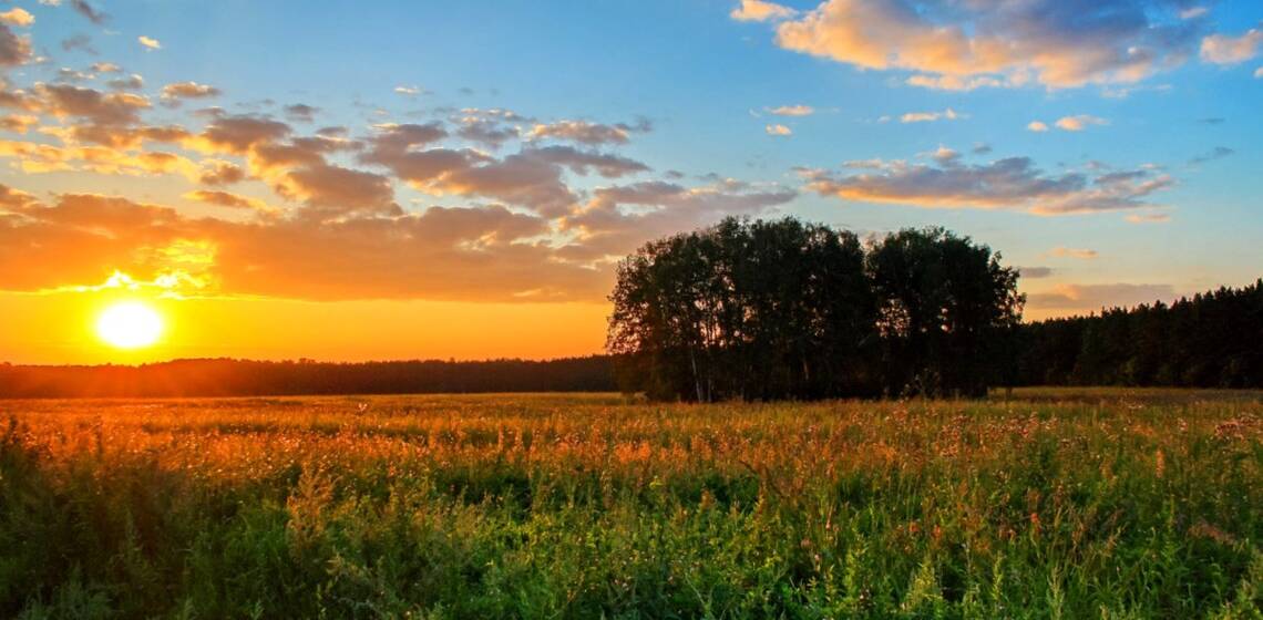 Непомітний прихід осені: яку погоду прогнозують синоптики 31 серпня – 2 вересня