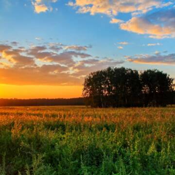 Непомітний прихід осені: яку погоду прогнозують синоптики 31 серпня – 2 вересня