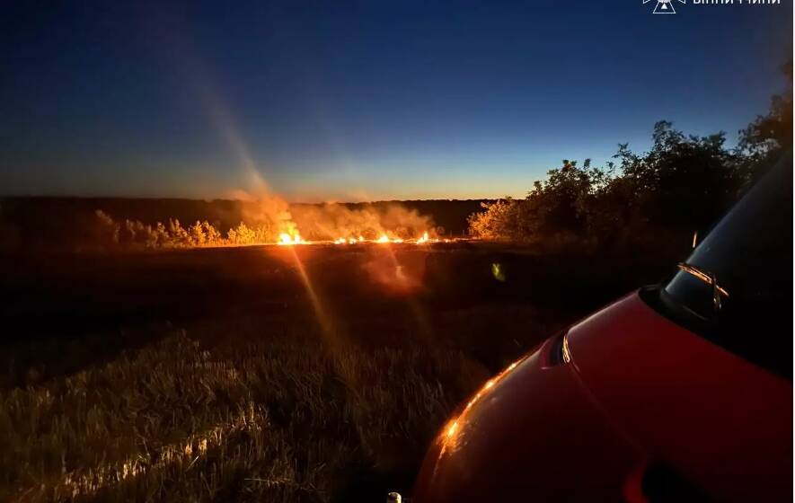 У пожежі на Вінниччині згоріло 25 вуликів