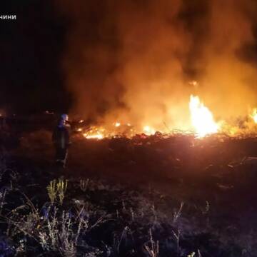 Вінницькі рятувальники ліквідували 13 пожеж в екосистемах