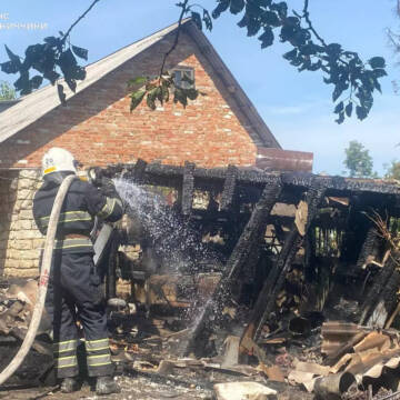 Вогонь обпалив понад 10 га ґрунту: на Вінниччині трапилося 17 пожеж