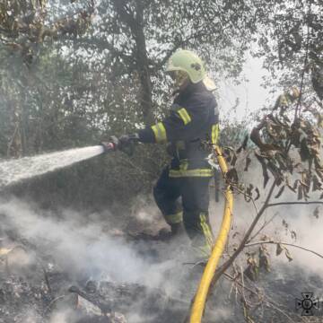 Минулої доби рятувальники Вінниччини  ліквідували 40 пожеж