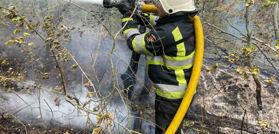 За добу на Вінниччинні рятувальники ліквідували 35 пожеж