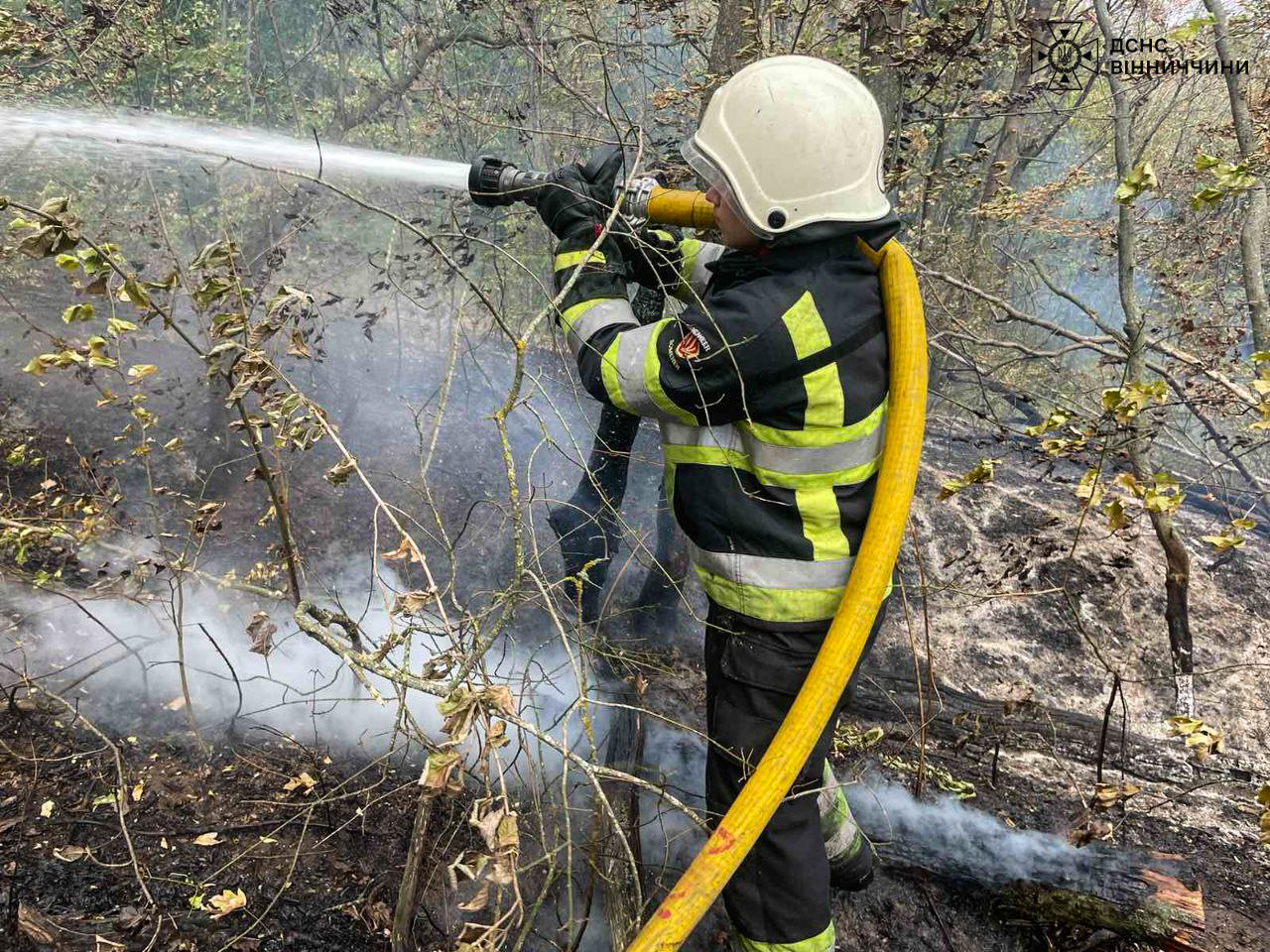 За добу на Вінниччинні рятувальники ліквідували 35 пожеж