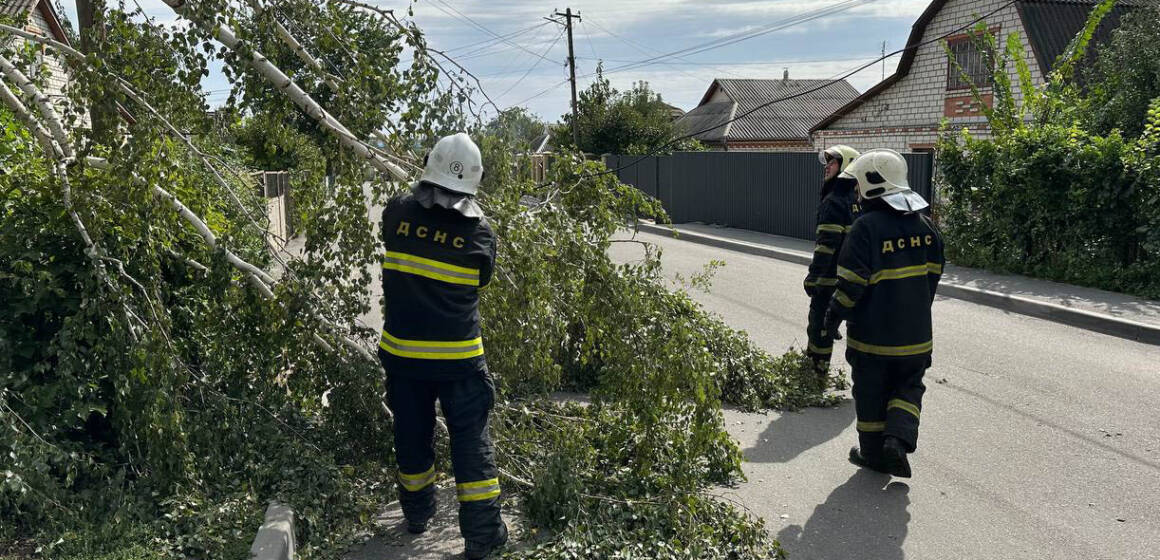 Наслідки буревію на Вінниччині: рятувальники прибирали повалені дерева та аварійні конструкції (Фото)