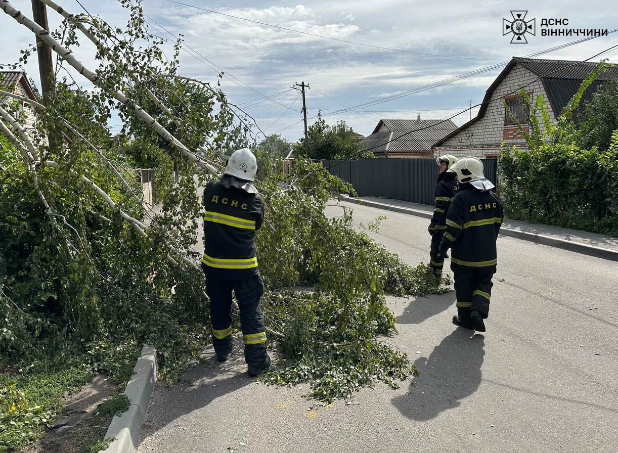 Наслідки буревію на Вінниччині: рятувальники прибирали повалені дерева та аварійні конструкції (Фото)