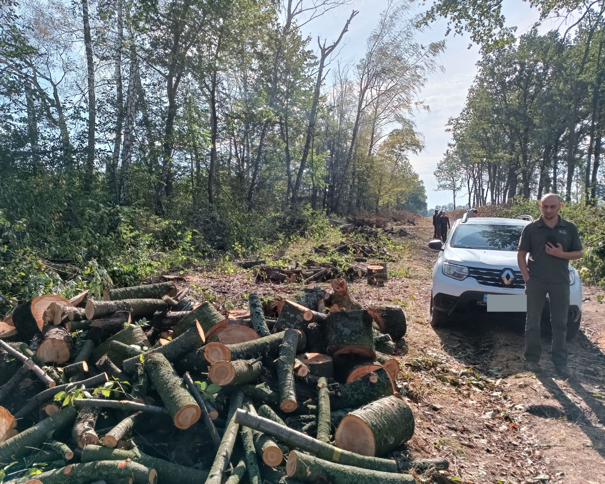 “Бізнес на лісі”: на Вінниччині незаконно вирубали дерева на 3 мільйони гривень