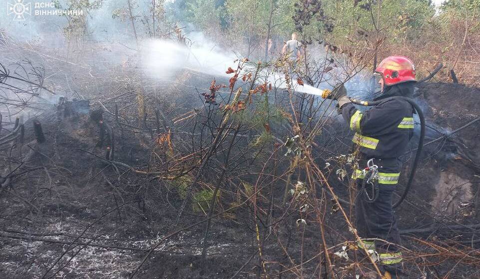 На Вінниччині рятувальники ліквідували 23 пожежі: дві через дитячі пустощі