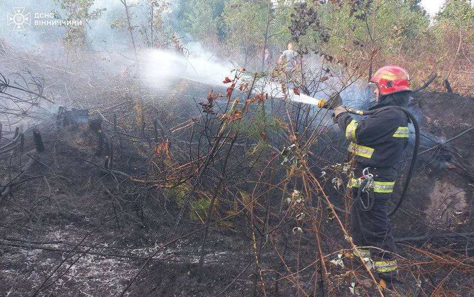 На Вінниччині рятувальники ліквідували 23 пожежі: дві через дитячі пустощі