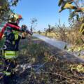 На Вінниччині дитячі пустощі з вогнем призвели до пожежі